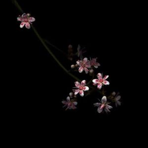 3D全彩漫画魂叔母游戏
